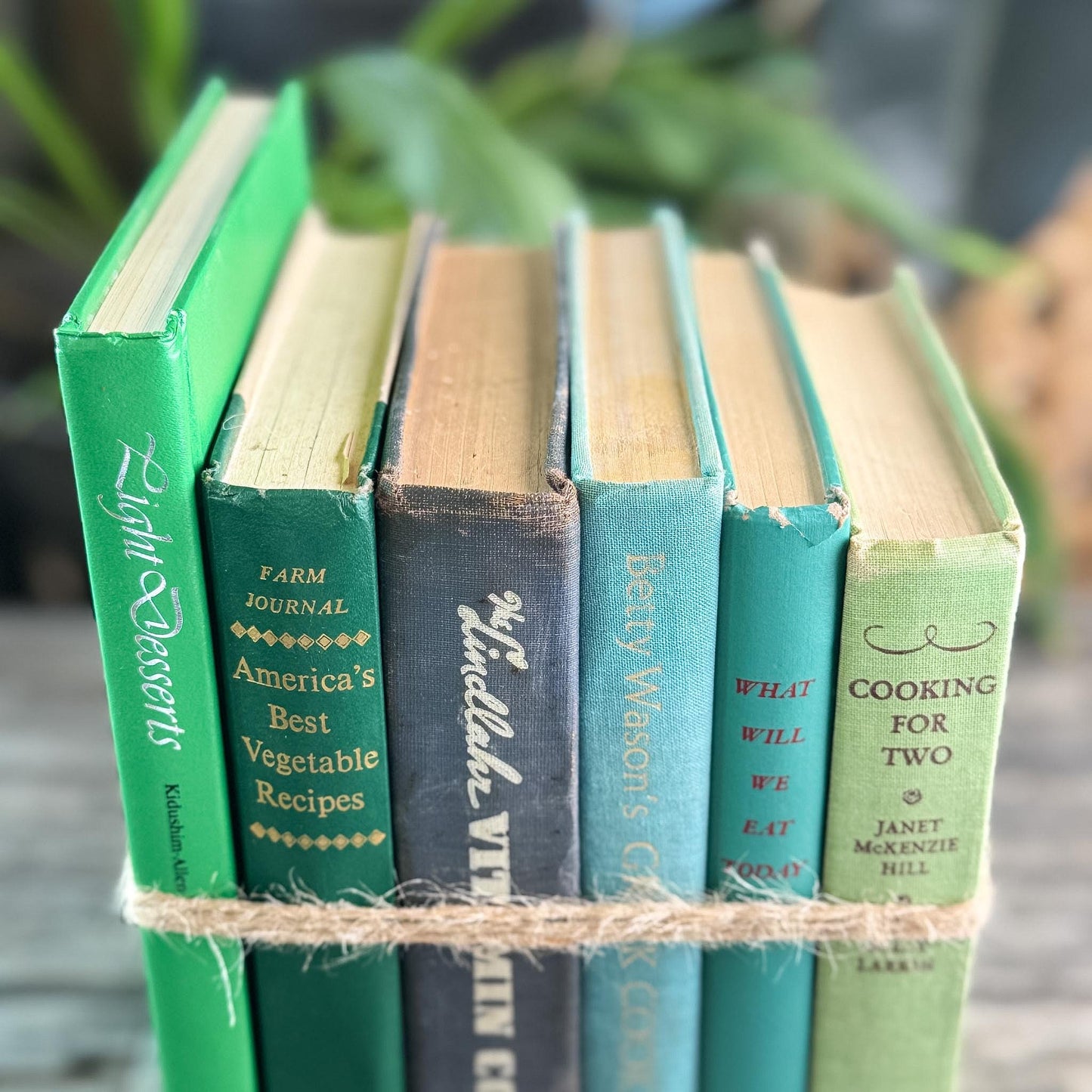 Green and Blue Vintage Cookbook Bundle