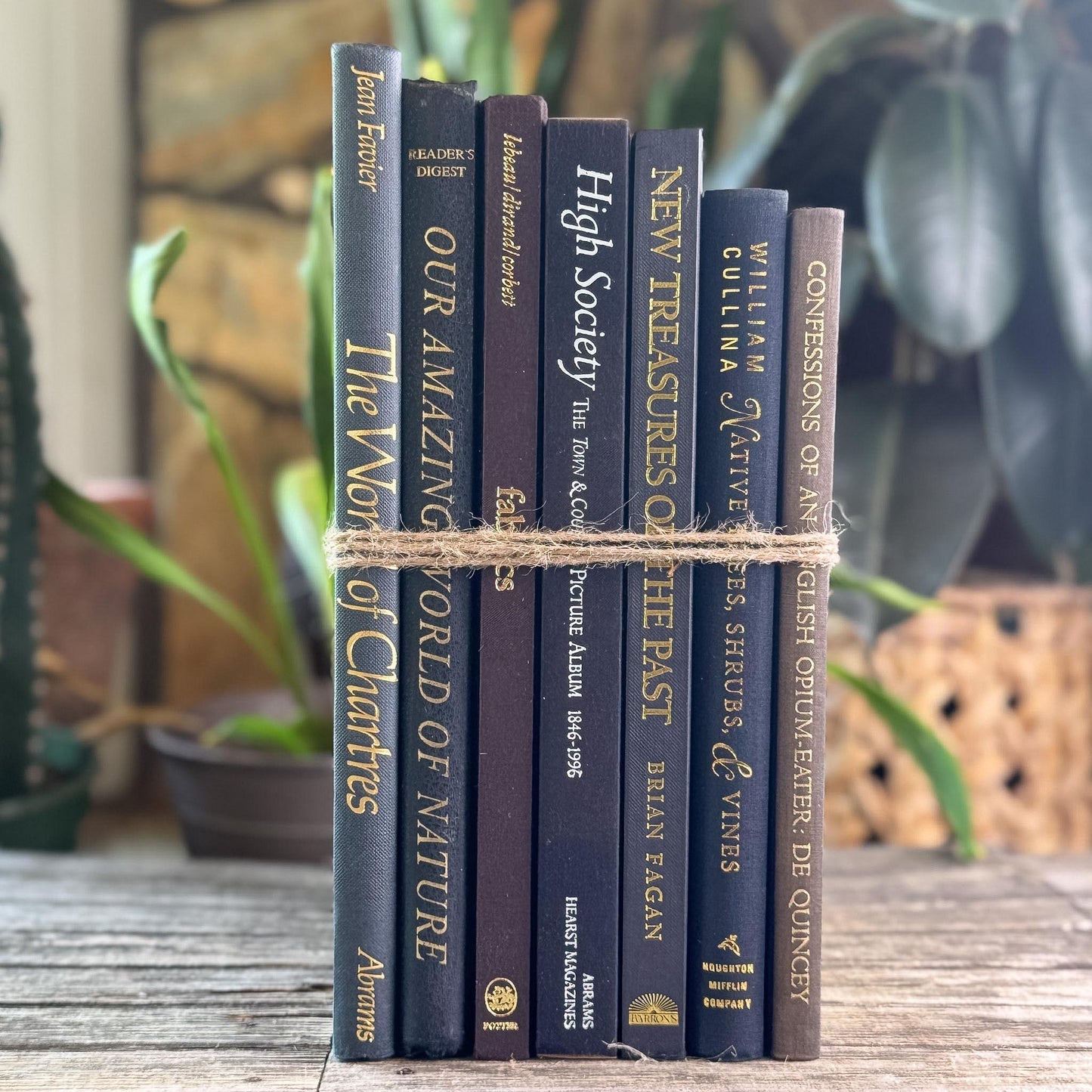 Black and Dark Brown Vintage Coffee Table Books for Styling
