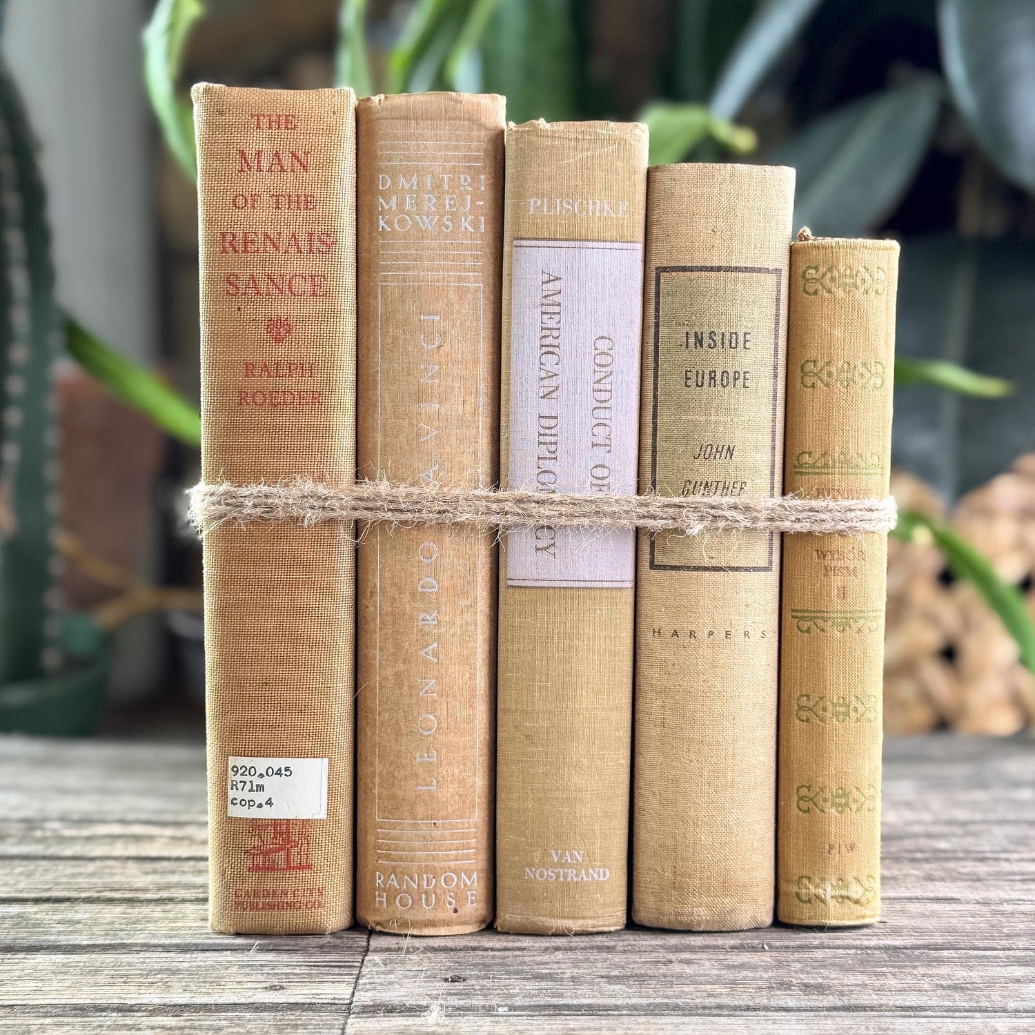 Vintage Neutral Beige Book Bundle for Shelf Styling