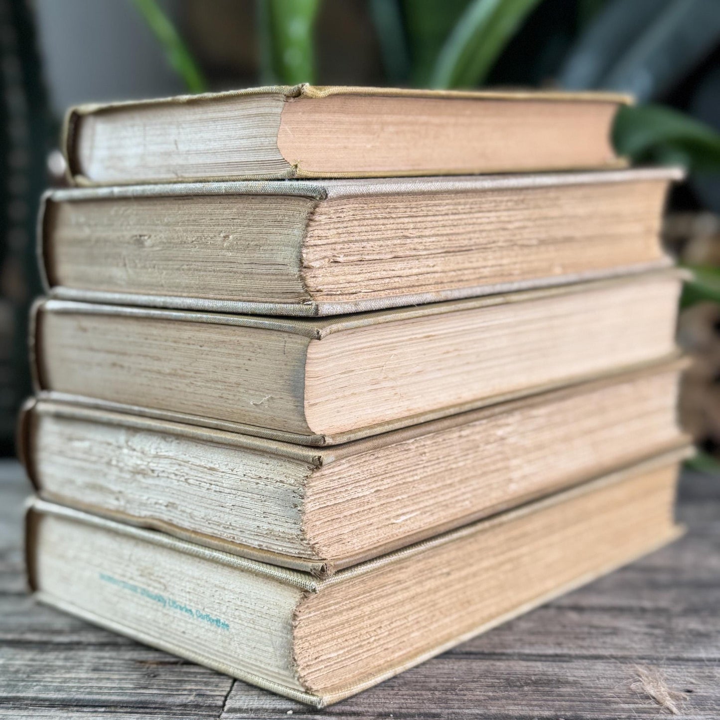Vintage Neutral Beige Book Bundle for Shelf Styling