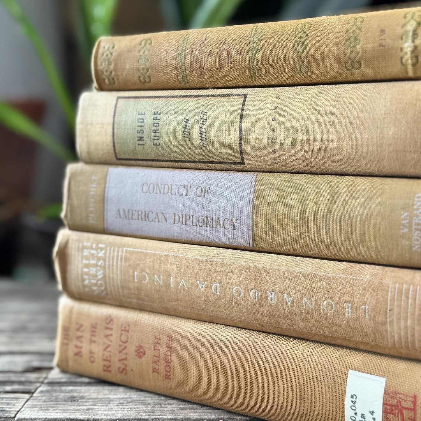 Vintage Neutral Beige Book Bundle for Shelf Styling