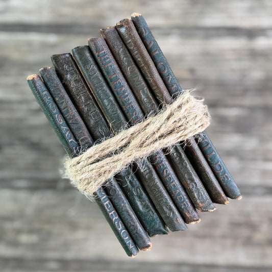 Antique Green Little Leather Library Book Bundle