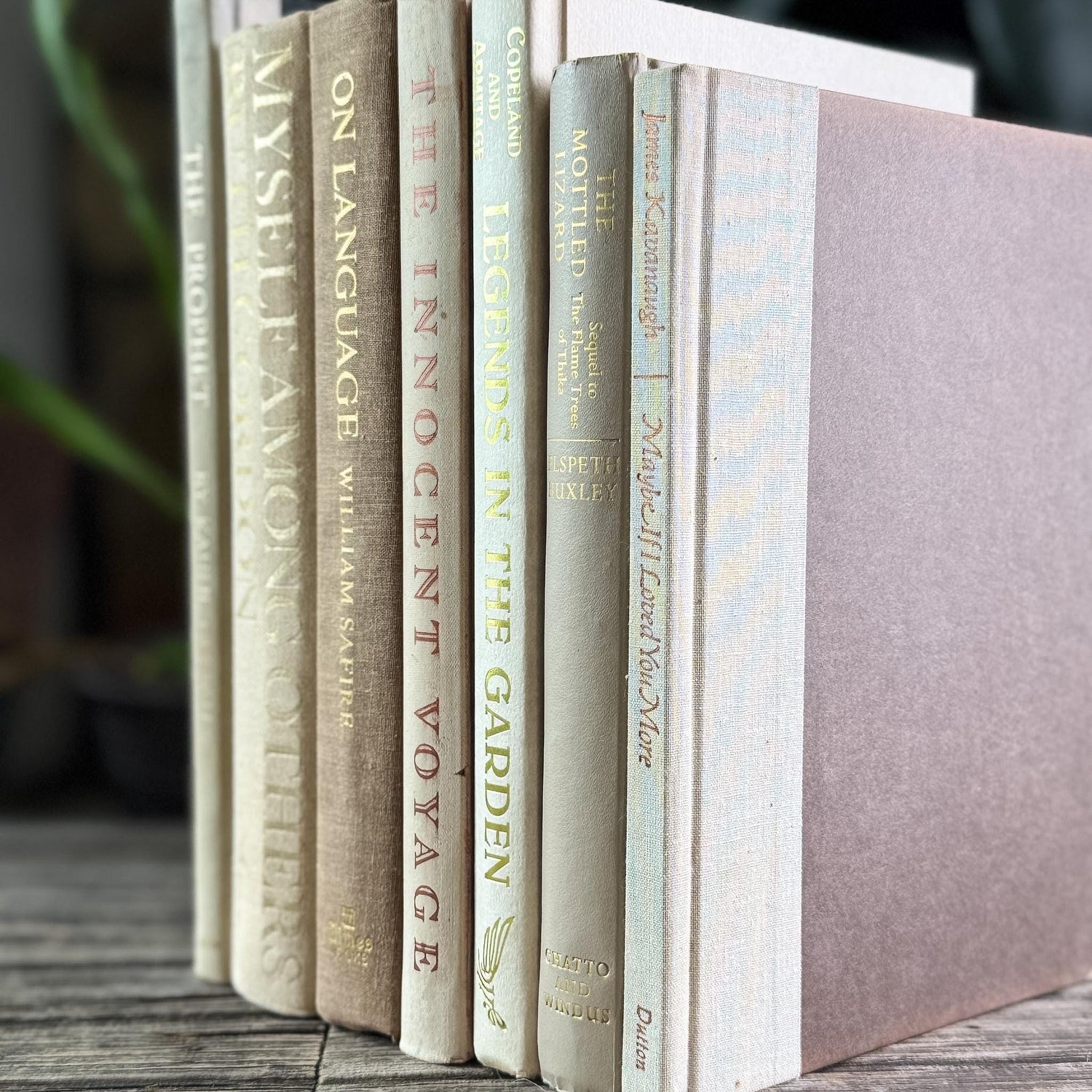 Vintage Book Set in White, Cream, Beige, Gold, and Bronze