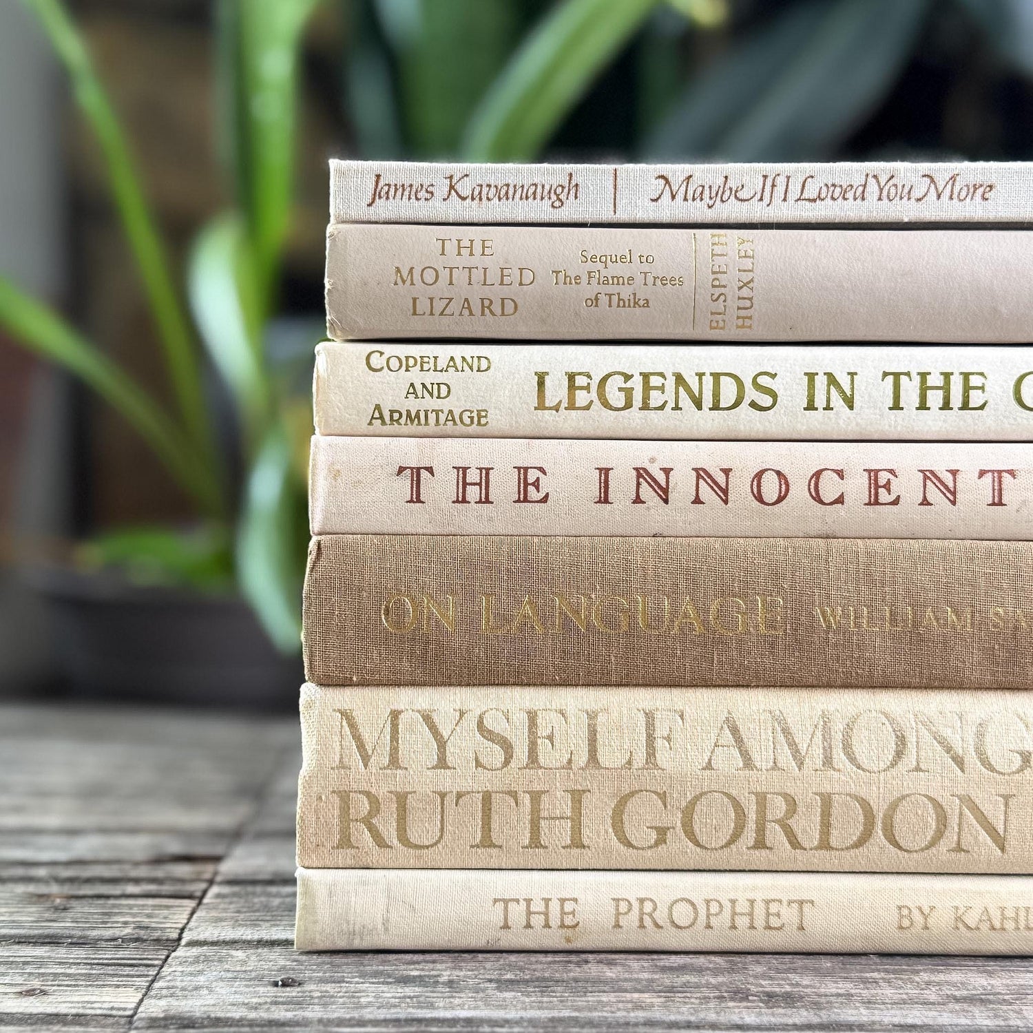 Vintage Book Set in White, Cream, Beige, Gold, and Bronze