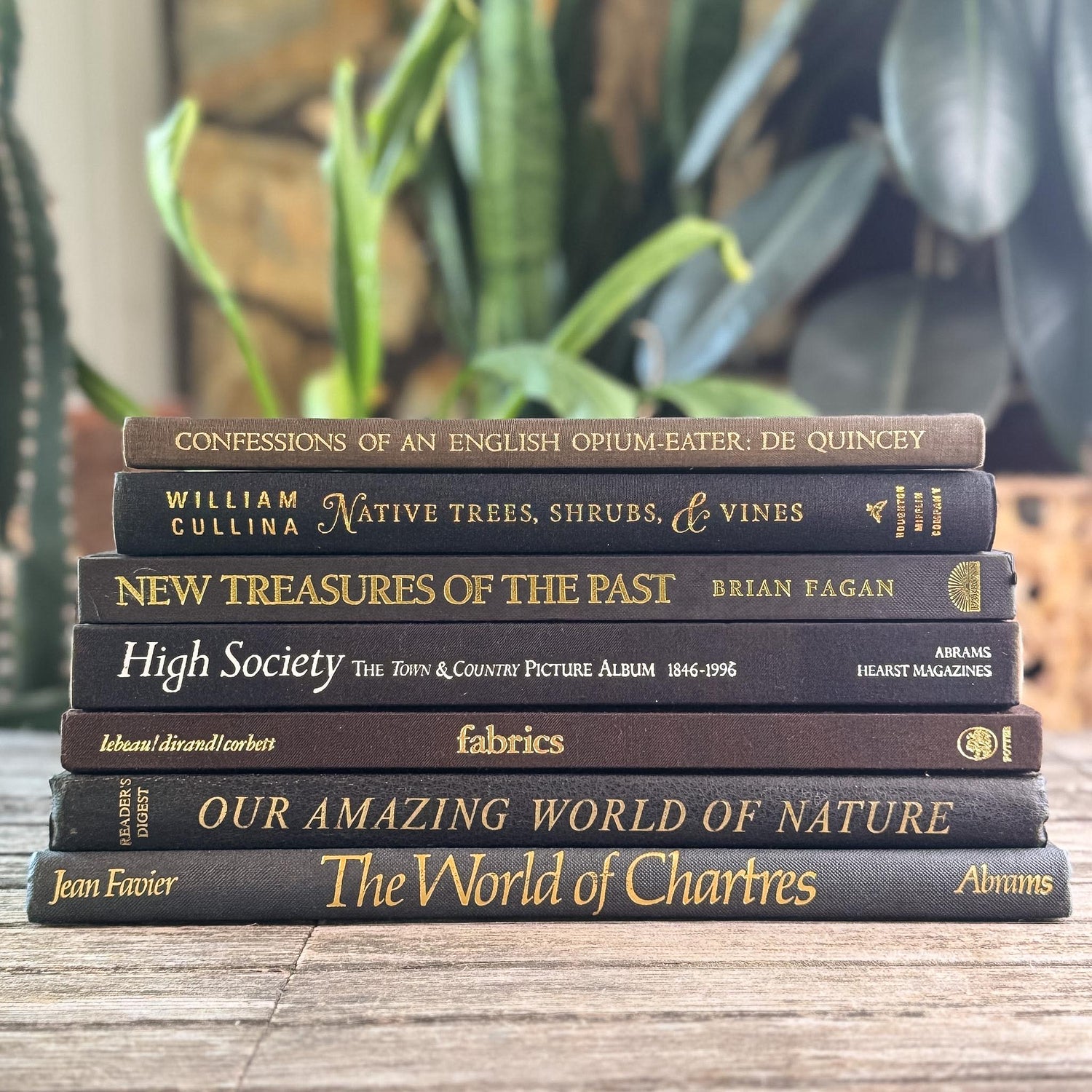 Black and Dark Brown Vintage Coffee Table Books for Styling