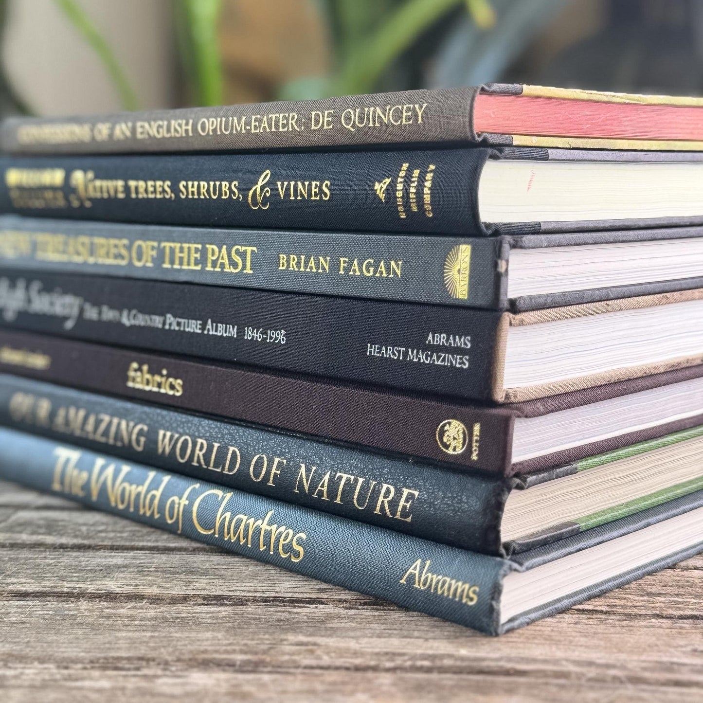 Black and Dark Brown Vintage Coffee Table Books for Styling