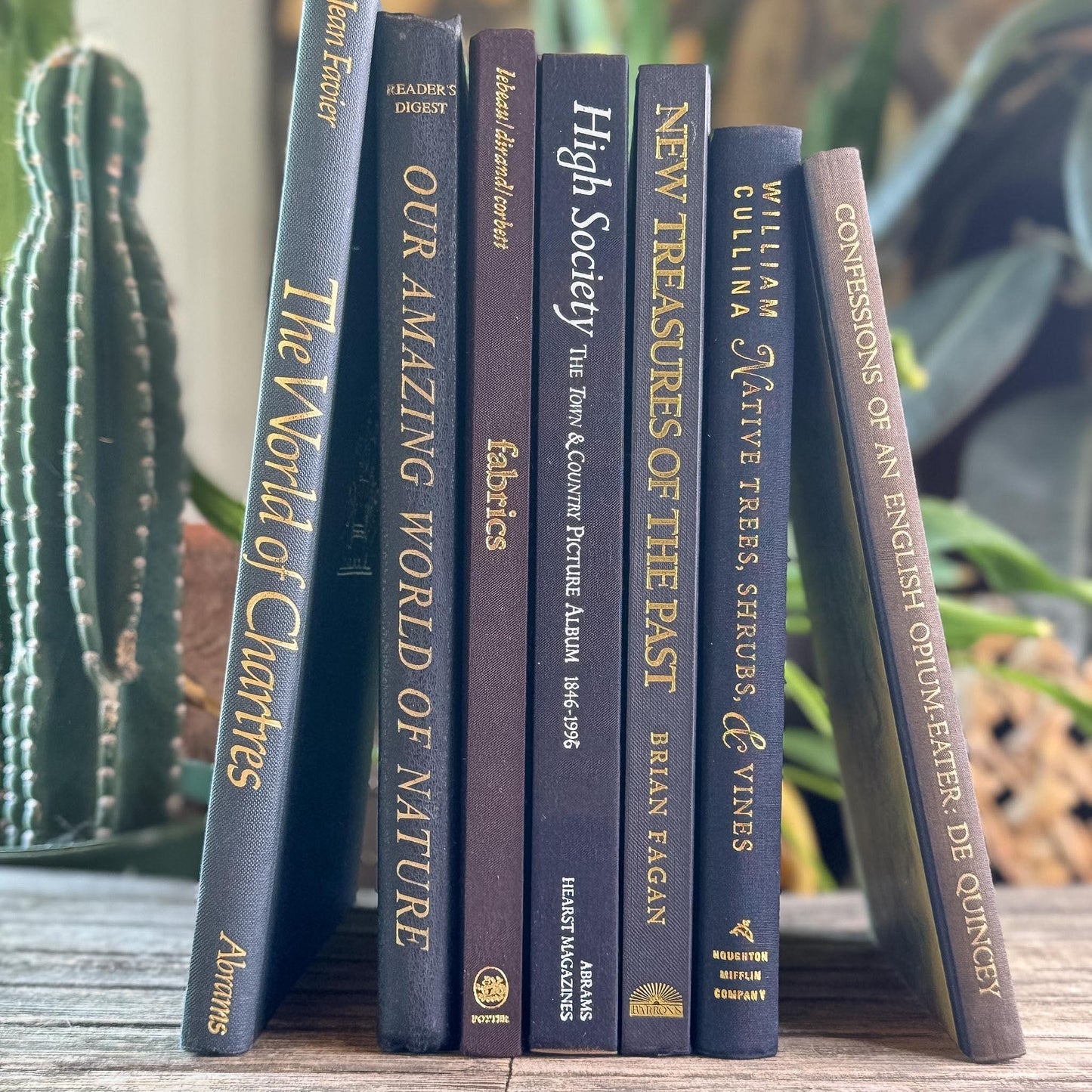 Black and Dark Brown Vintage Coffee Table Books for Styling