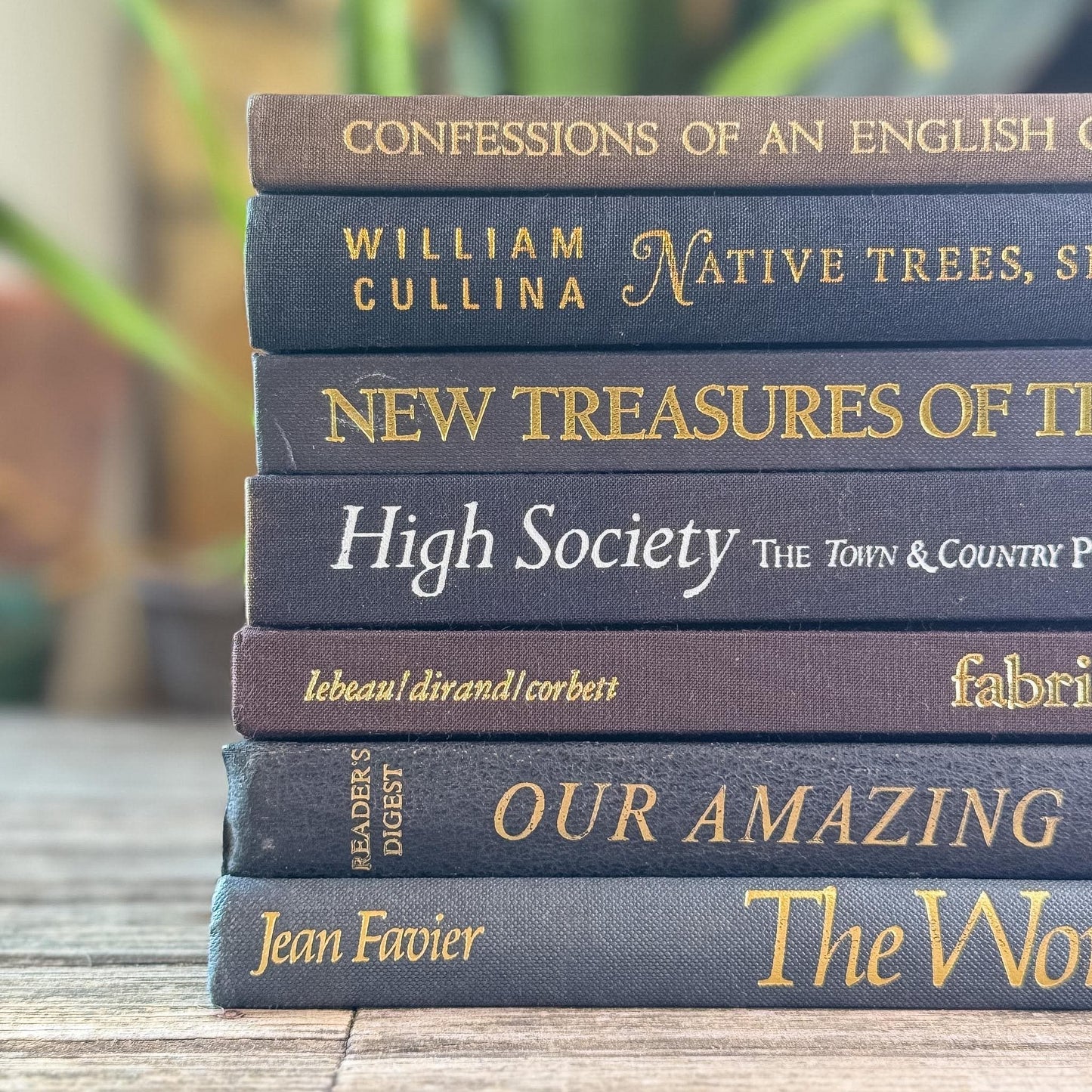 Black and Dark Brown Vintage Coffee Table Books for Styling