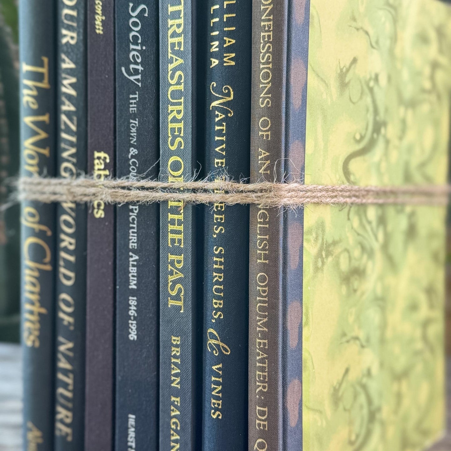 Black and Dark Brown Vintage Coffee Table Books for Styling