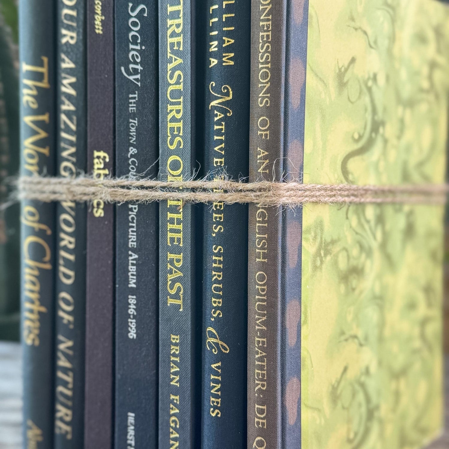 Black and Dark Brown Vintage Coffee Table Books for Styling
