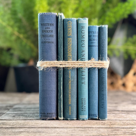 Antique Blue Small School Books and Classics For Styling, Tennyson, Shakepeare