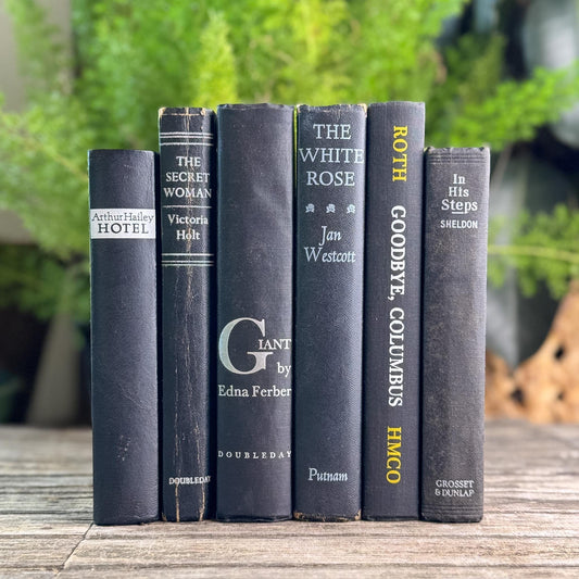 Vintage Black Books with White and Silver Accents for Moody Shelf Styling