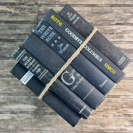 Vintage Black Books with White and Silver Accents for Moody Shelf Styling