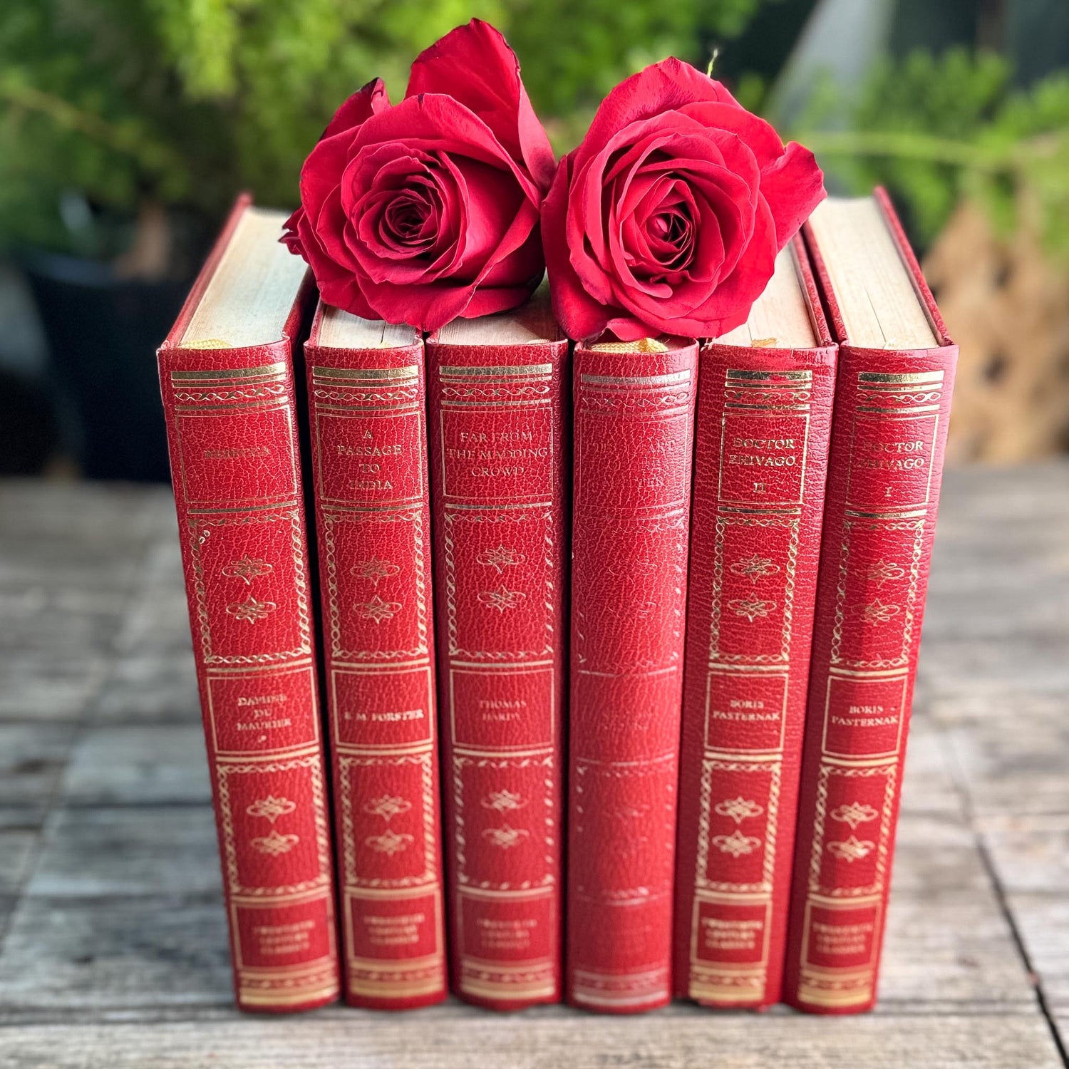 Vintage Red & Gold Twentieth Century Classics Set of Six