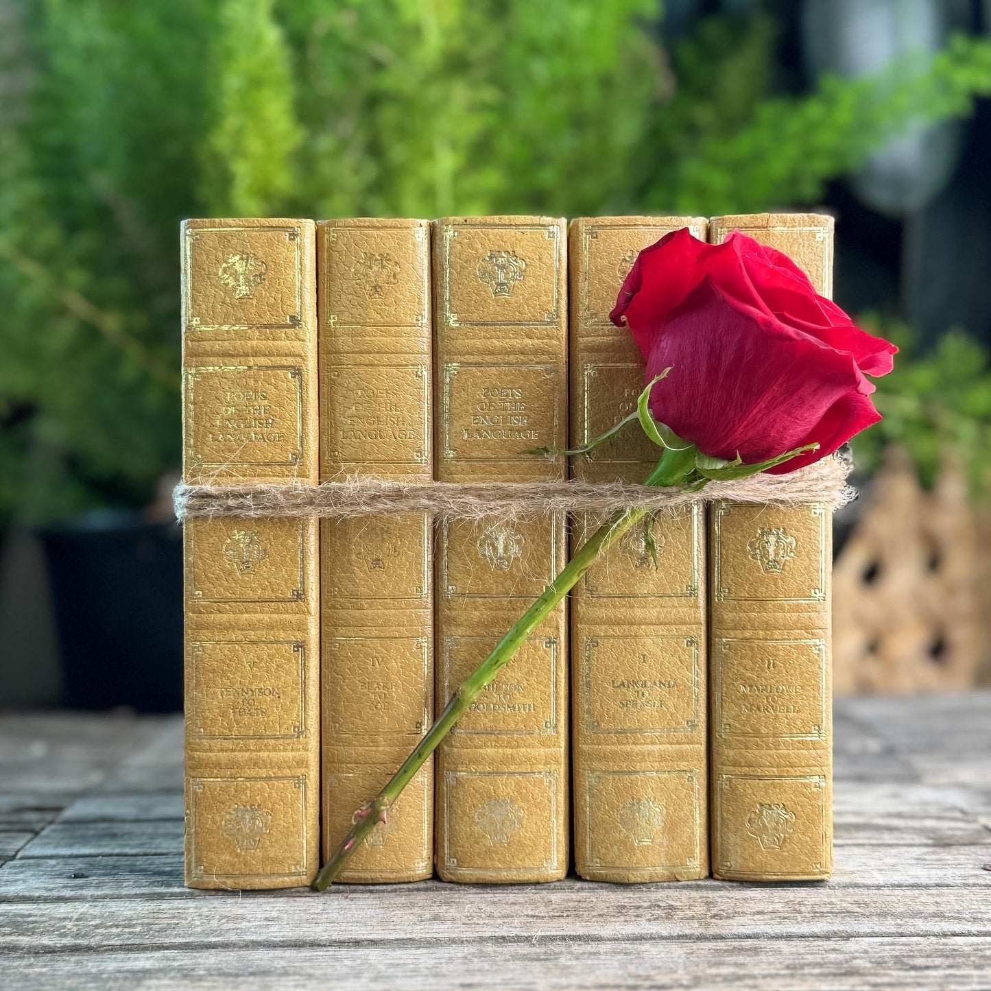 Ornate Vintage Gold and Silver Poets of the English Language Book Set