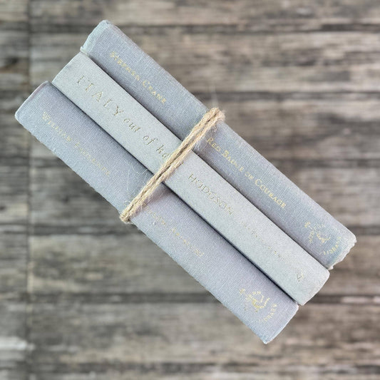 Minimalist Gray Small Vintage Book Bundle
