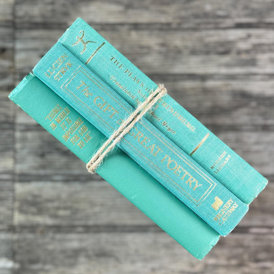 Small Vintage Teal Green Book Bundle for Coastal Decor