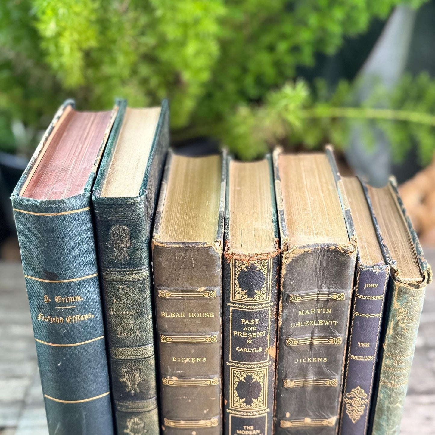 Antique Leather-Bound Worn and Shabby Books