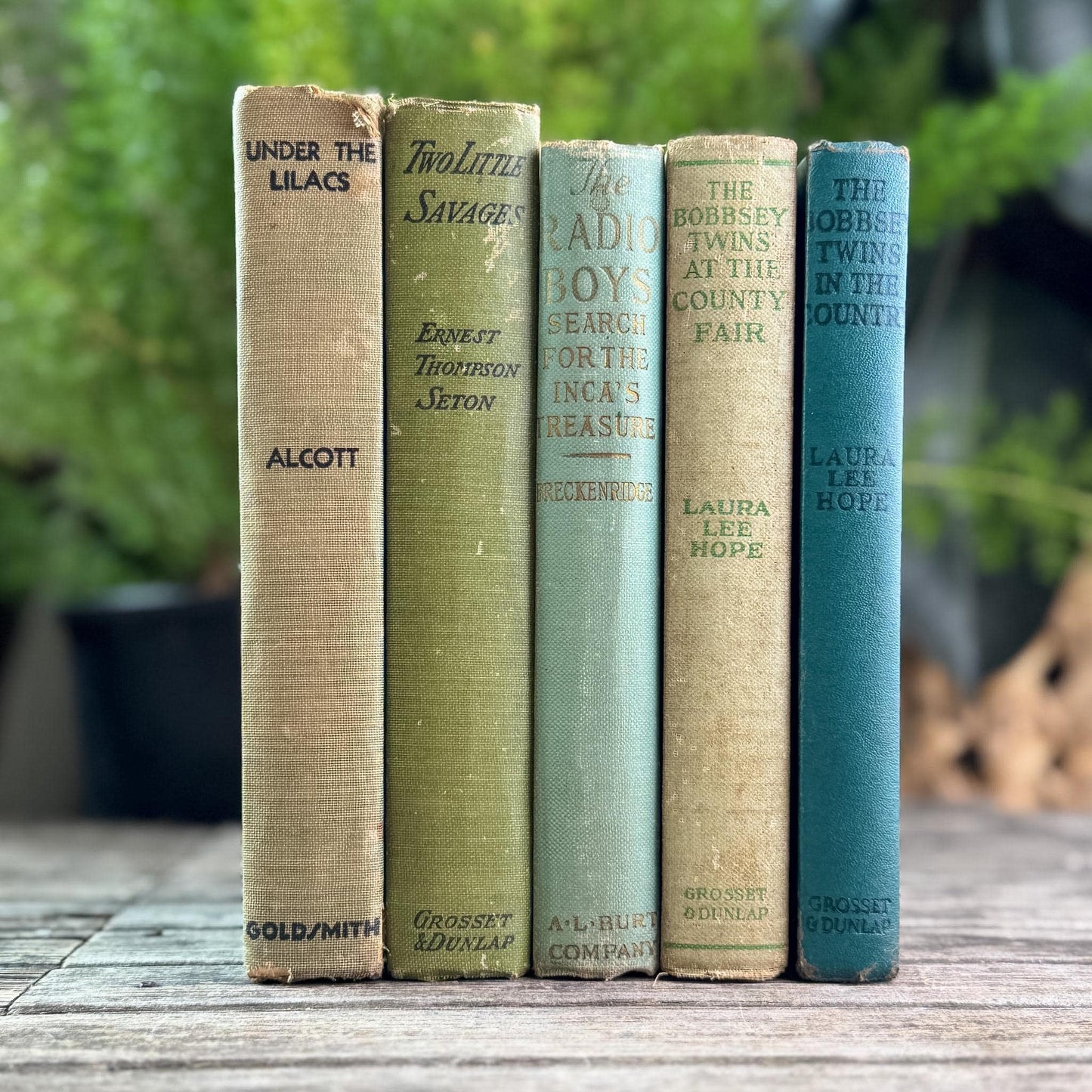 Antique Green Children's Book Bundle for Shelf Styling