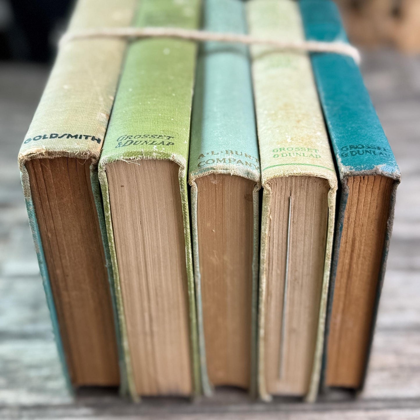 Antique Green Children's Book Bundle for Shelf Styling