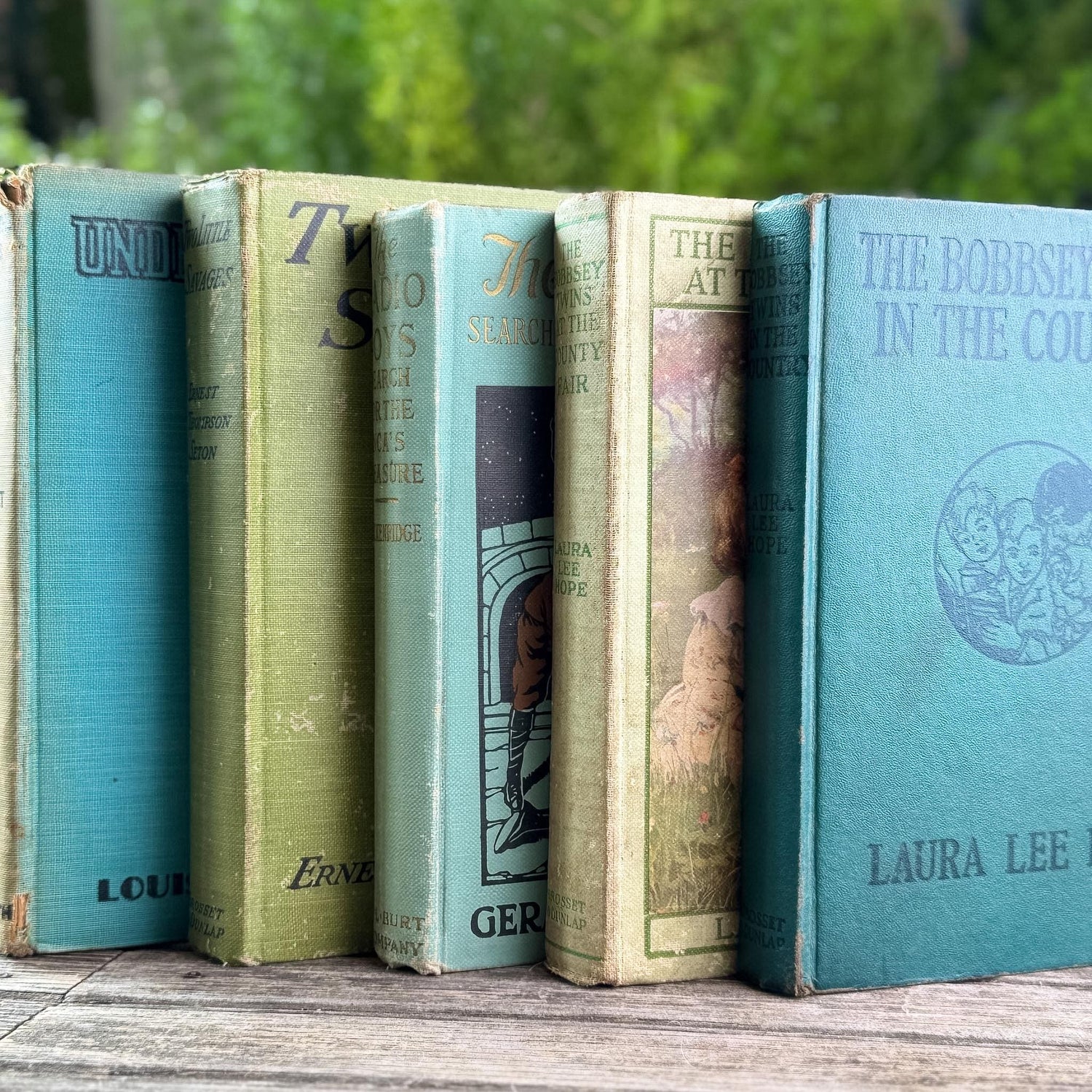 Antique Green Children's Book Bundle for Shelf Styling
