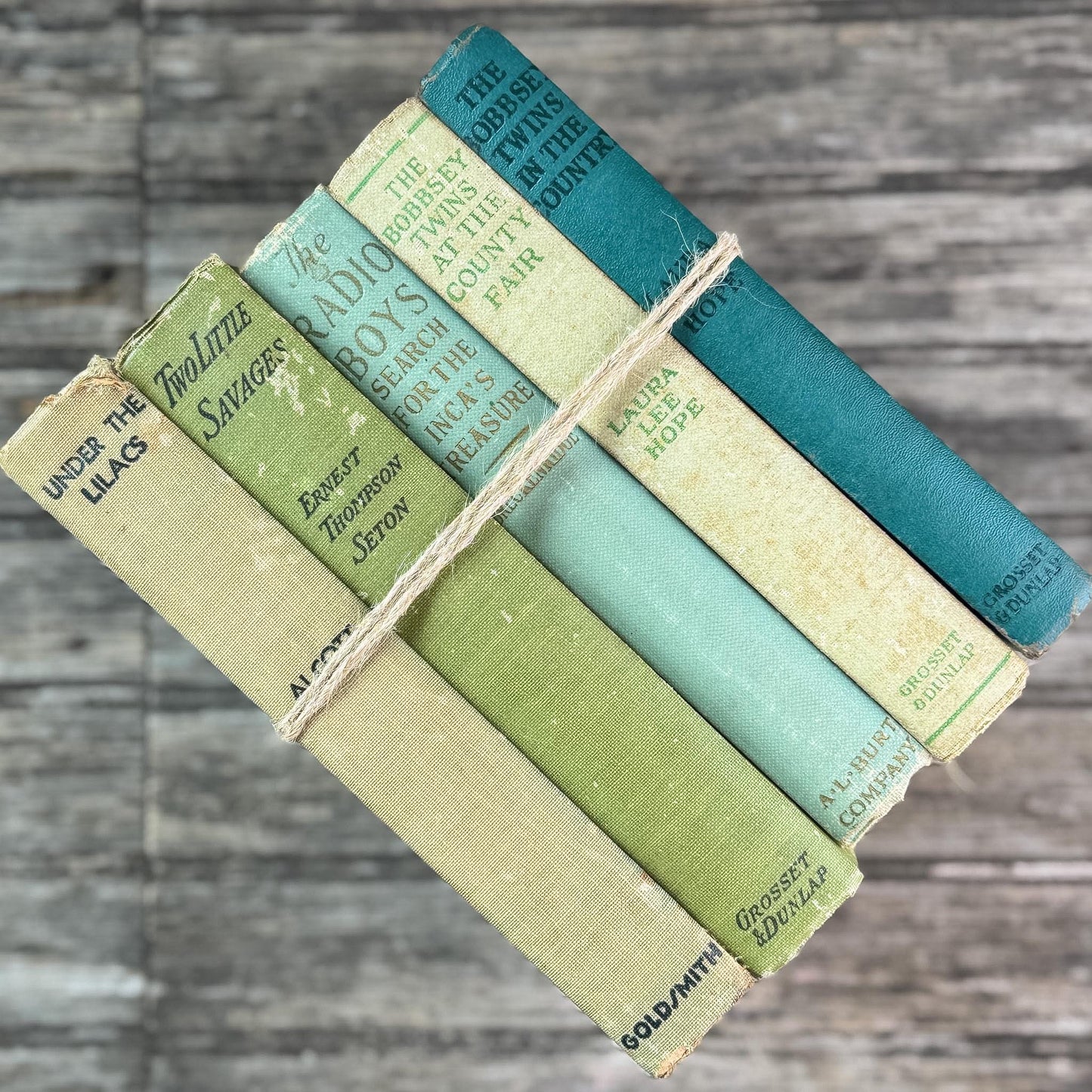 Antique Green Children's Book Bundle for Shelf Styling
