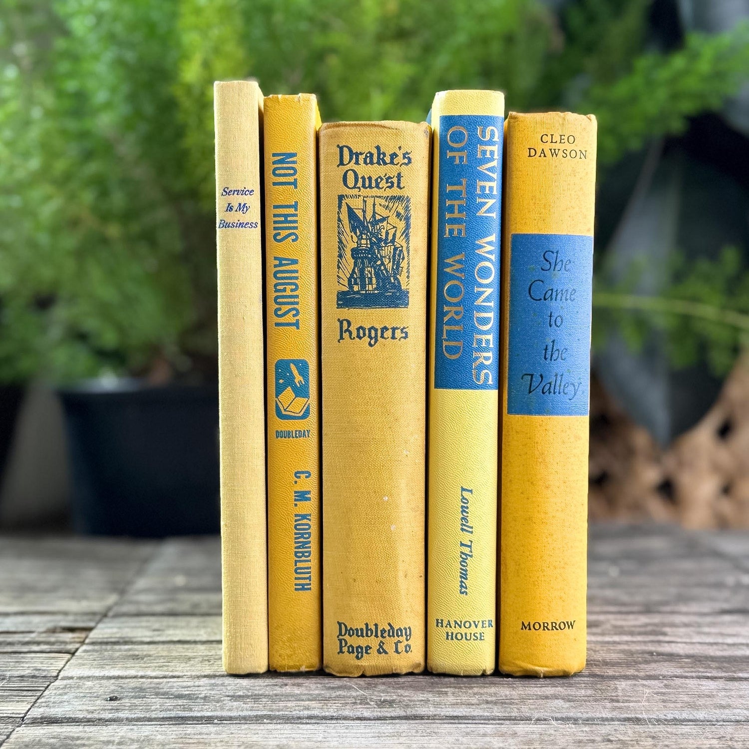 Bright Yellow and Blue Vintage Book Bundle for Shelf Styling