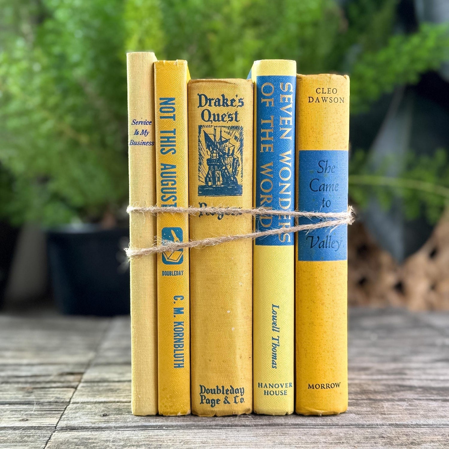 Bright Yellow and Blue Vintage Book Bundle for Shelf Styling