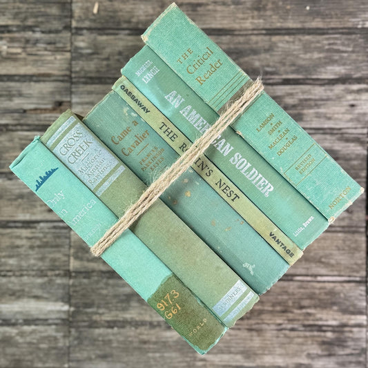 Faded Vintage Sage Green Books for Display