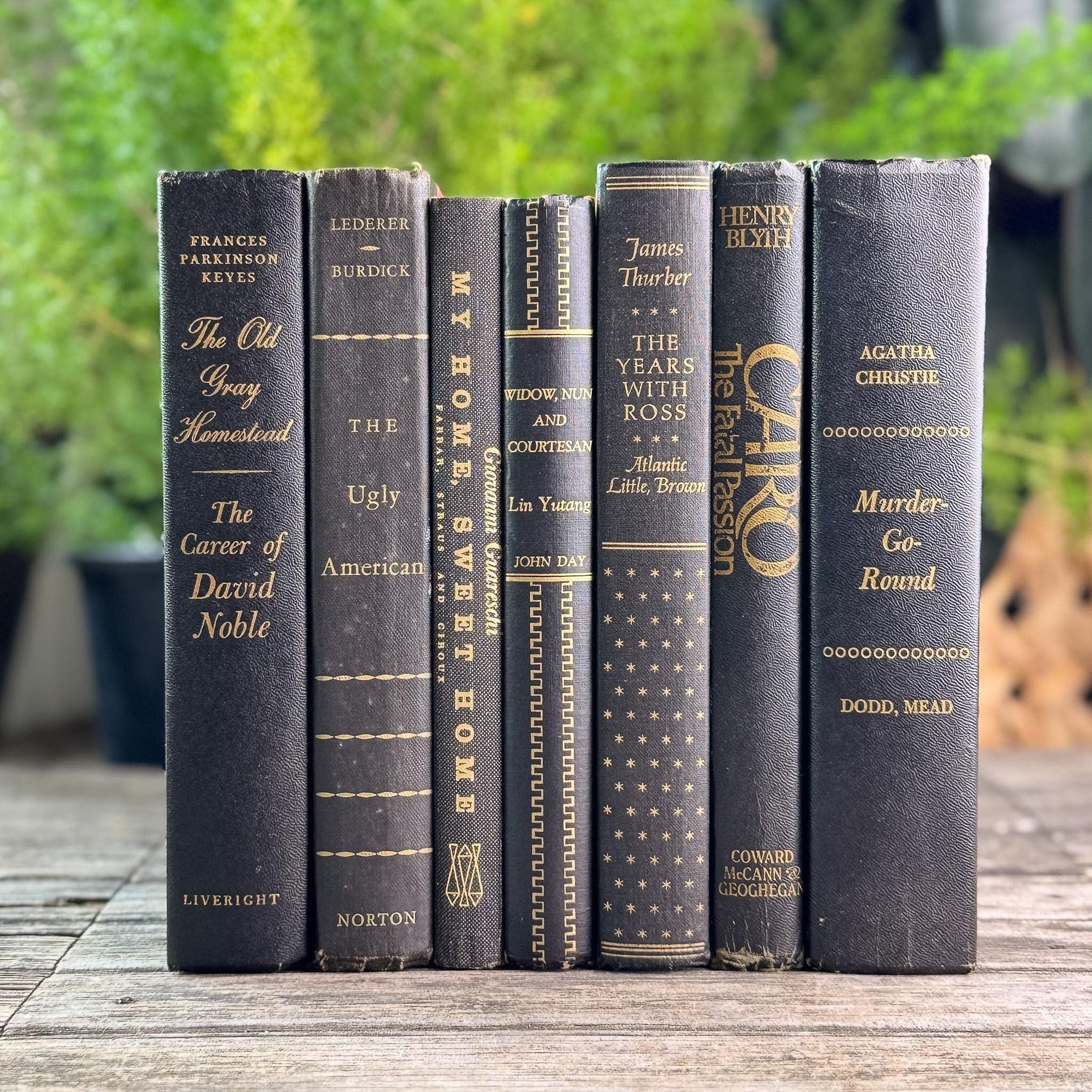 Black and Gold Vintage Books for Moody Shelf Styling