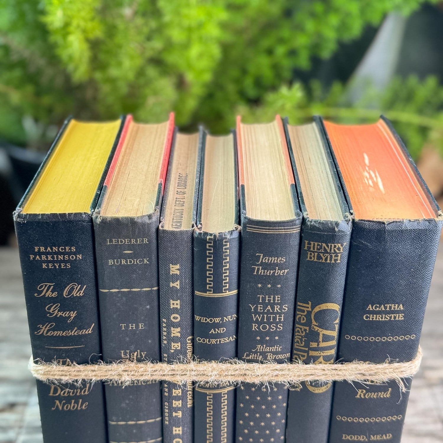 Black and Gold Vintage Books for Moody Shelf Styling