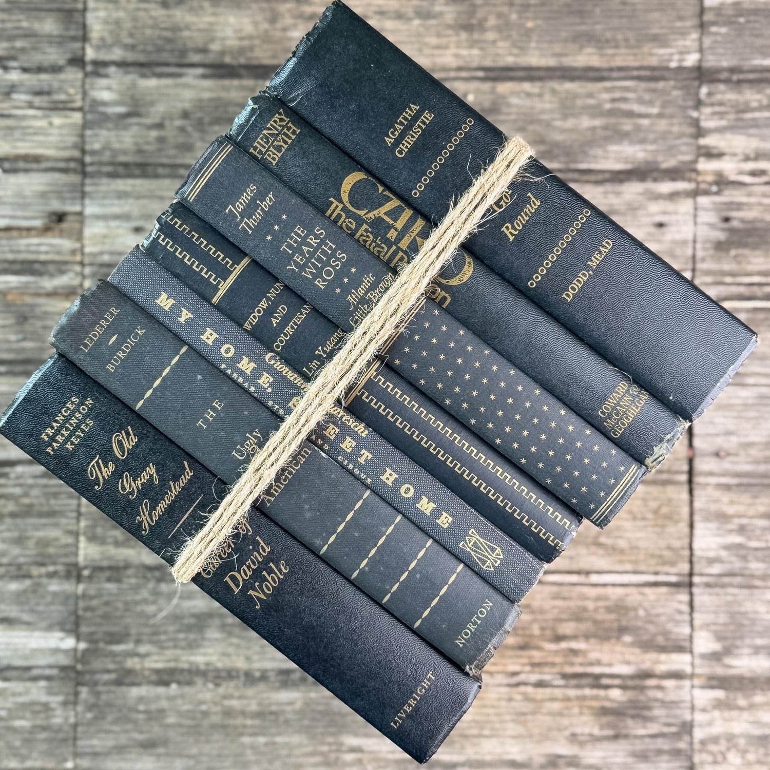 Black and Gold Vintage Books for Moody Shelf Styling