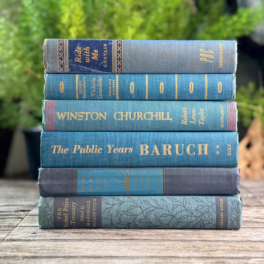 Navy Blue and Teal Vintage Book Bundle For Shelf Styling