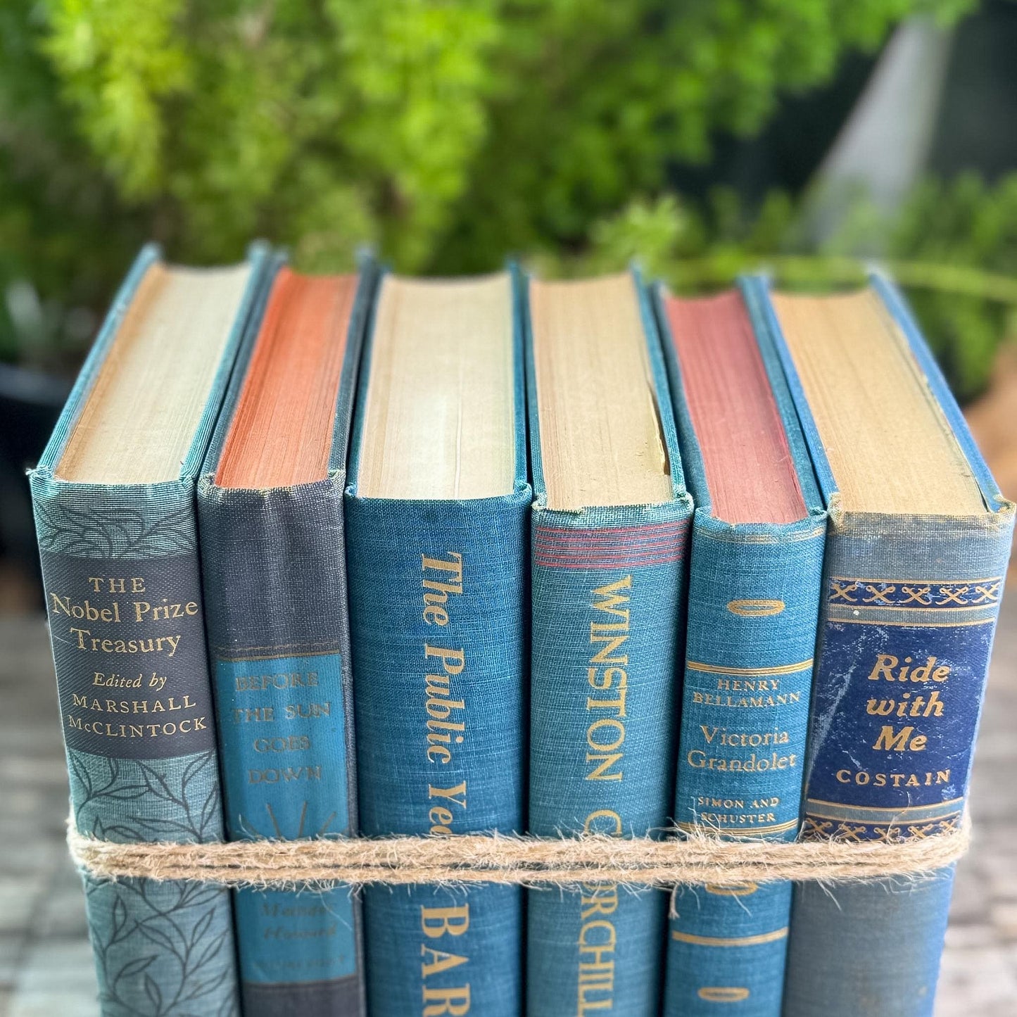 Navy Blue and Teal Vintage Book Bundle For Shelf Styling