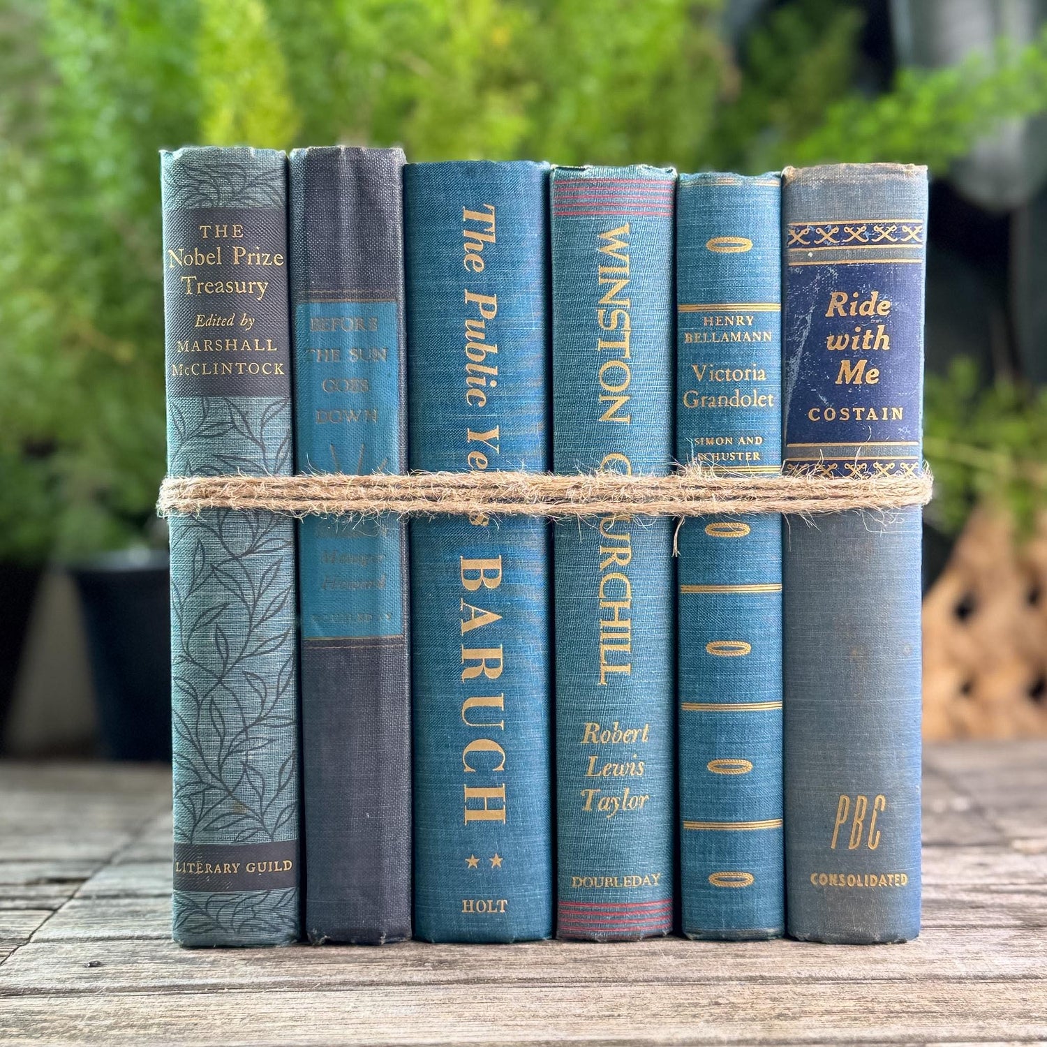 Navy Blue and Teal Vintage Book Bundle For Shelf Styling