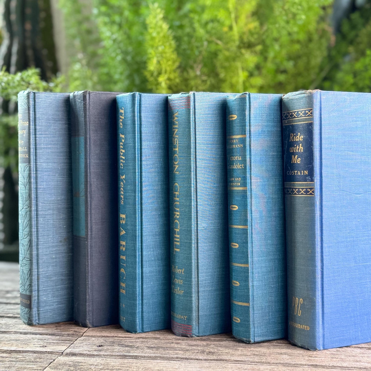Navy Blue and Teal Vintage Book Bundle For Shelf Styling