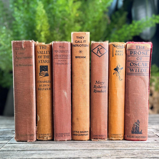 Orange and Rust Red Shabby Old Books for Shelf Styling