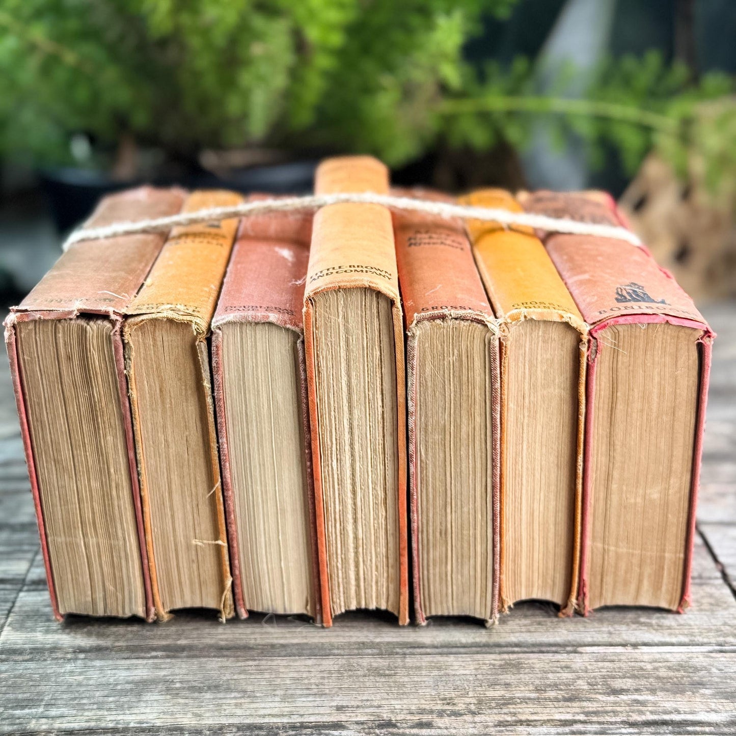 Orange and Rust Red Shabby Old Books for Shelf Styling