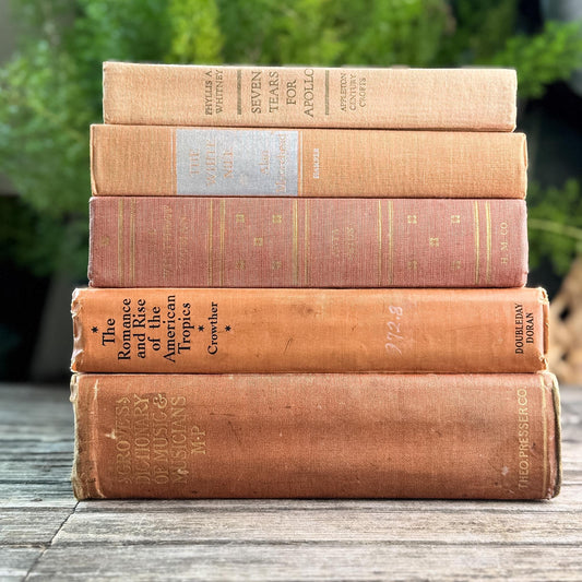 Peach, Orange, and Rust Vintage Books for Decor