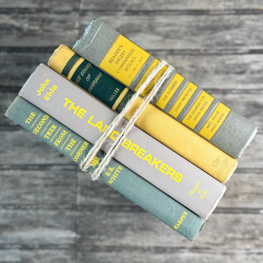 Gray and Yellow Vintage Mid-Century Book Bundle for Shelf Styling