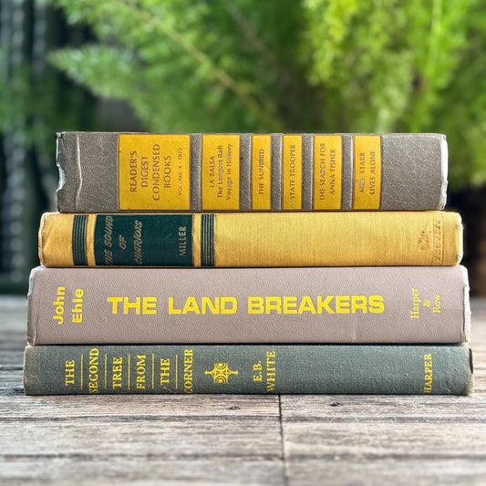 Gray and Yellow Vintage Mid-Century Book Bundle for Shelf Styling