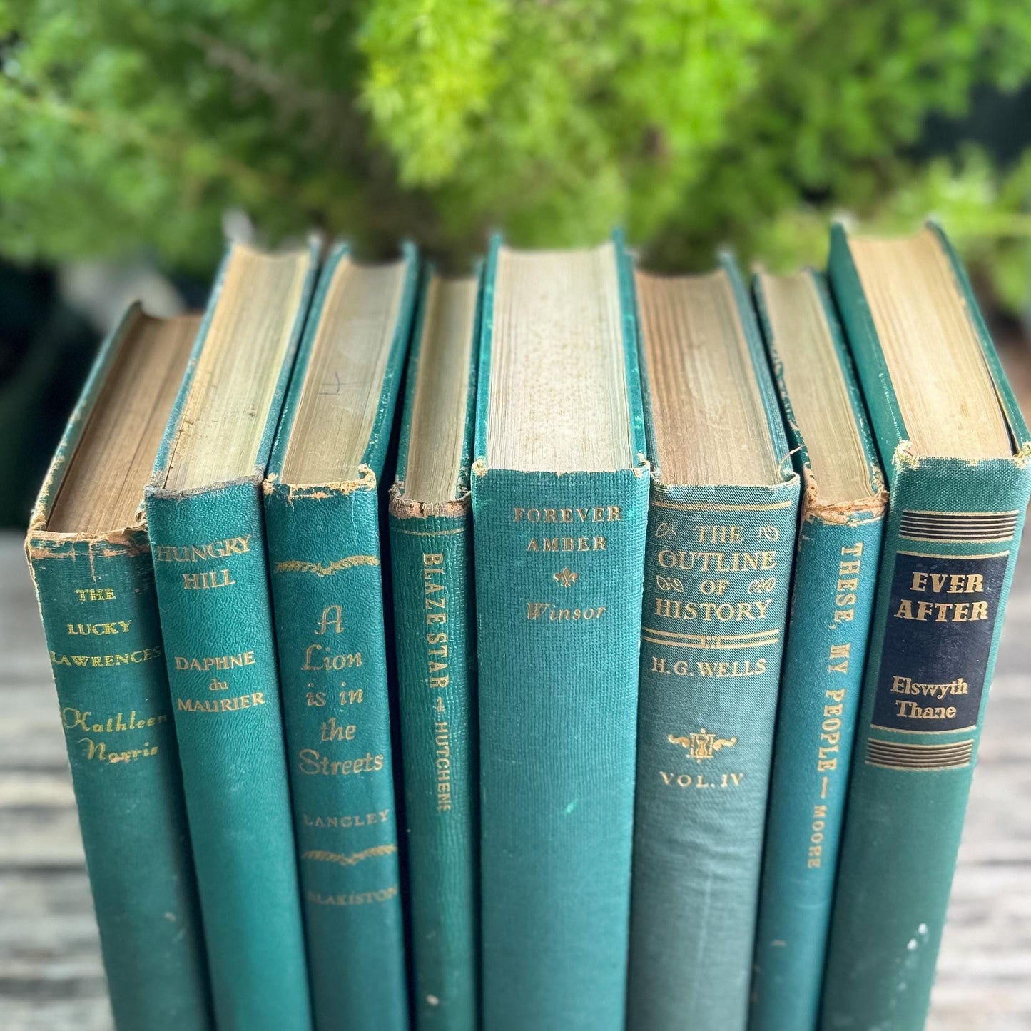 Rich Hunter Green Vintage Mid Century Book Set