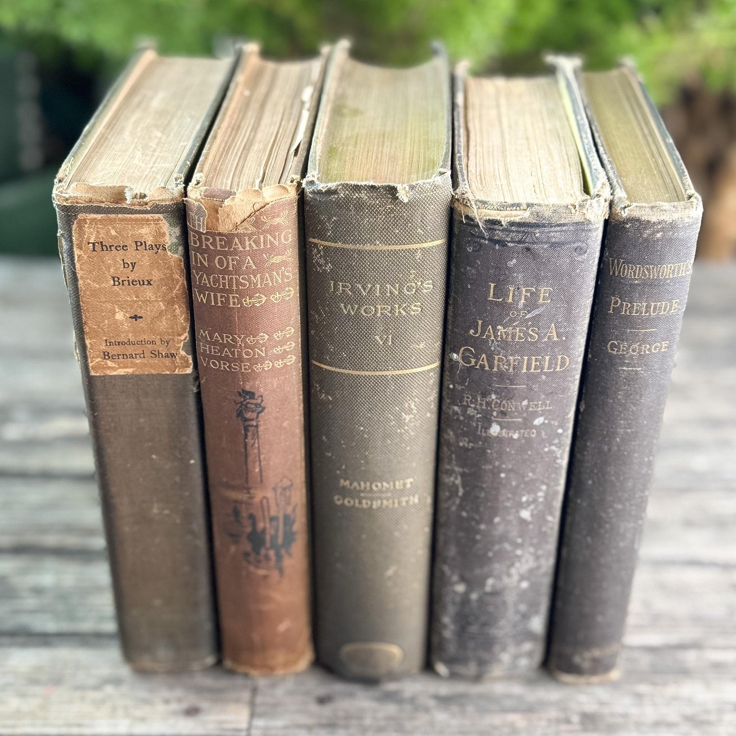 Antique Brown Vintage Book Set for Moody Decor