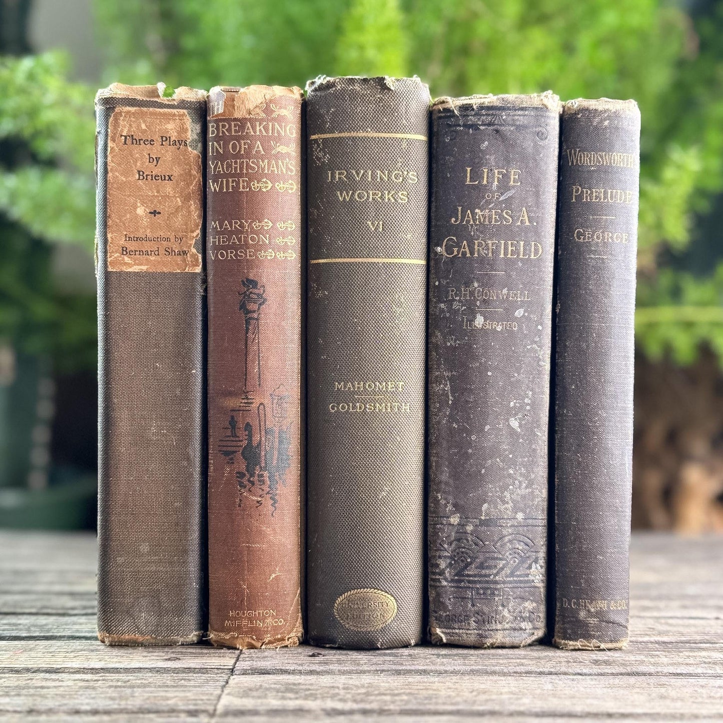 Antique Brown Vintage Book Set for Moody Decor