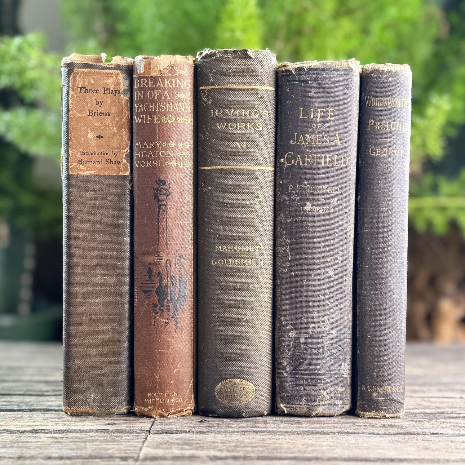 Antique Brown Vintage Book Set for Moody Decor