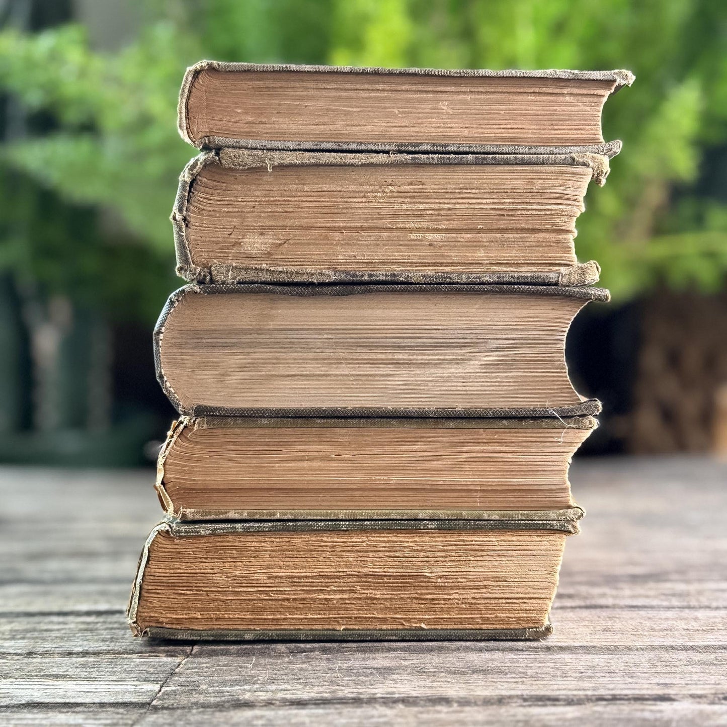 Antique Brown Vintage Book Set for Moody Decor