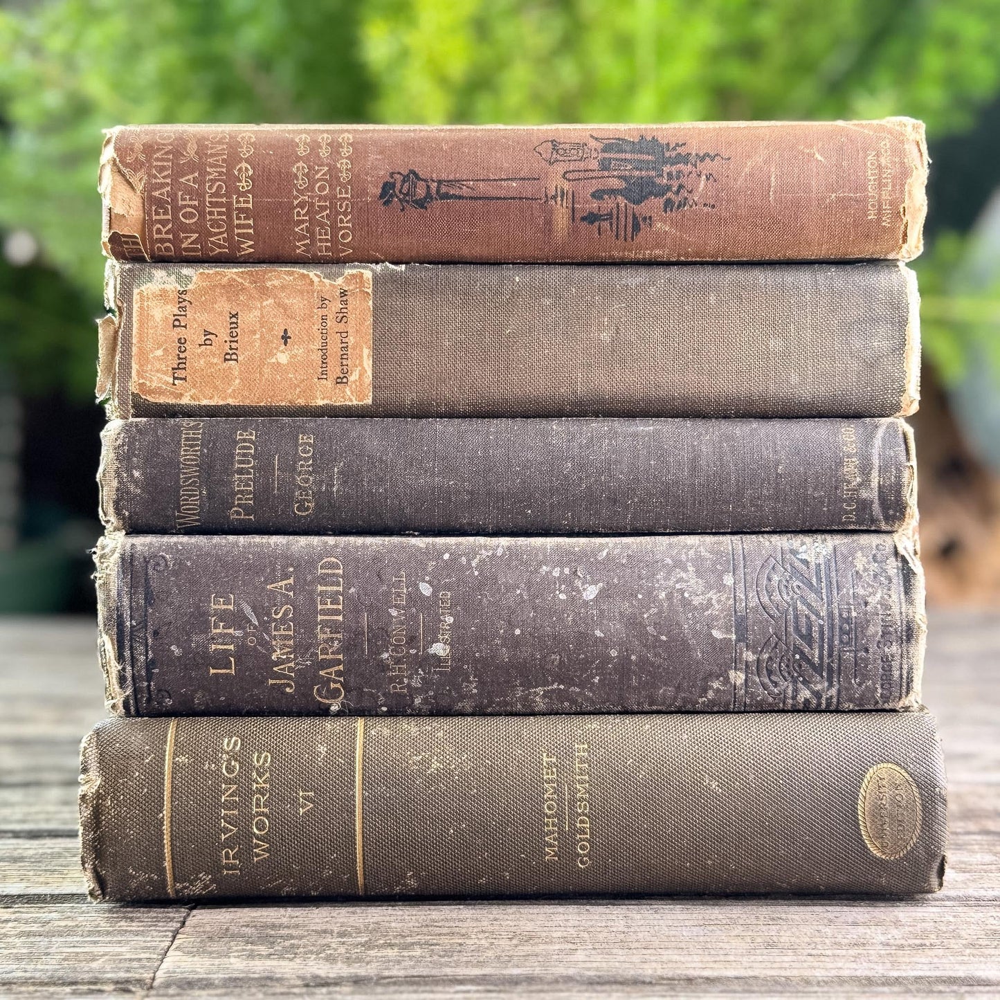 Antique Brown Vintage Book Set for Moody Decor