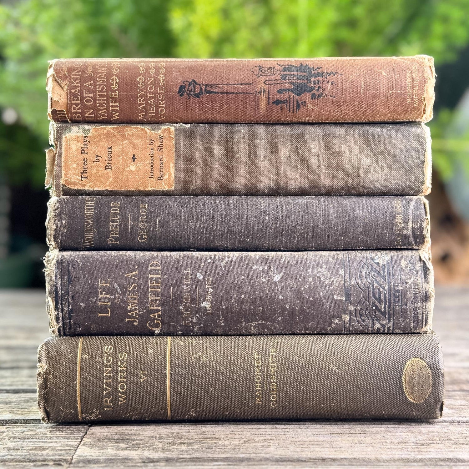 Antique Brown Vintage Book Set for Moody Decor