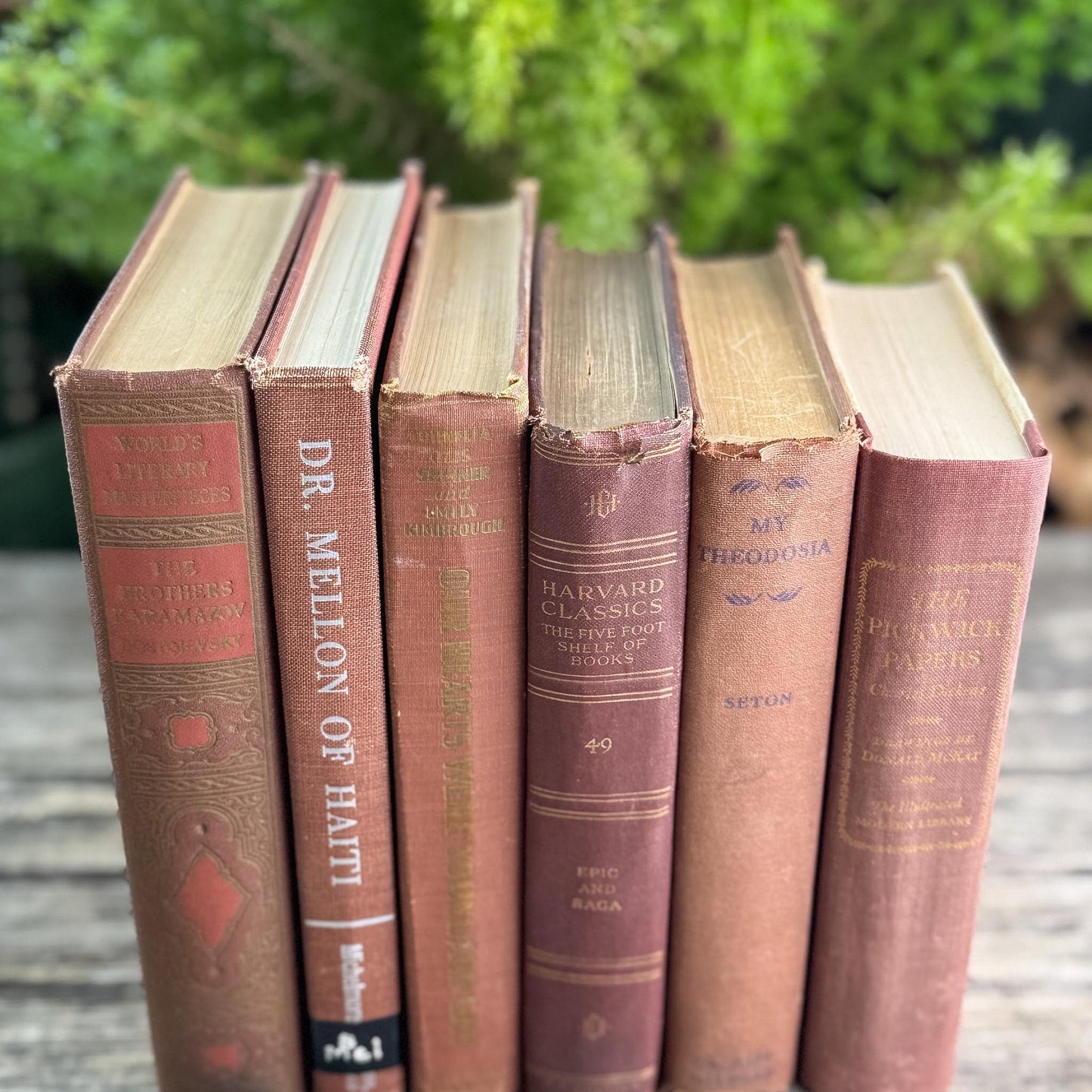 Copper Brown Warm Vintage Book Set