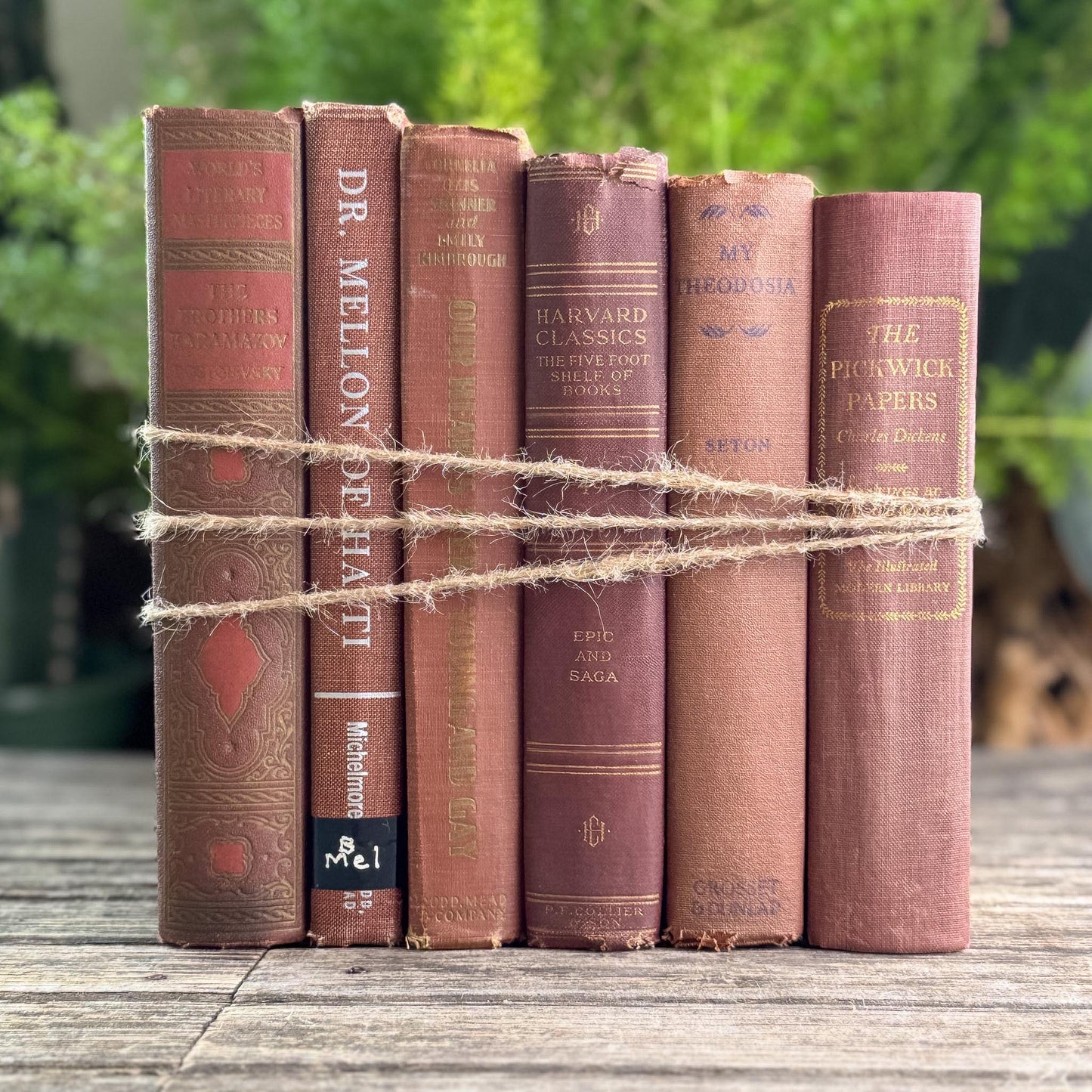 Copper Brown Warm Vintage Book Set